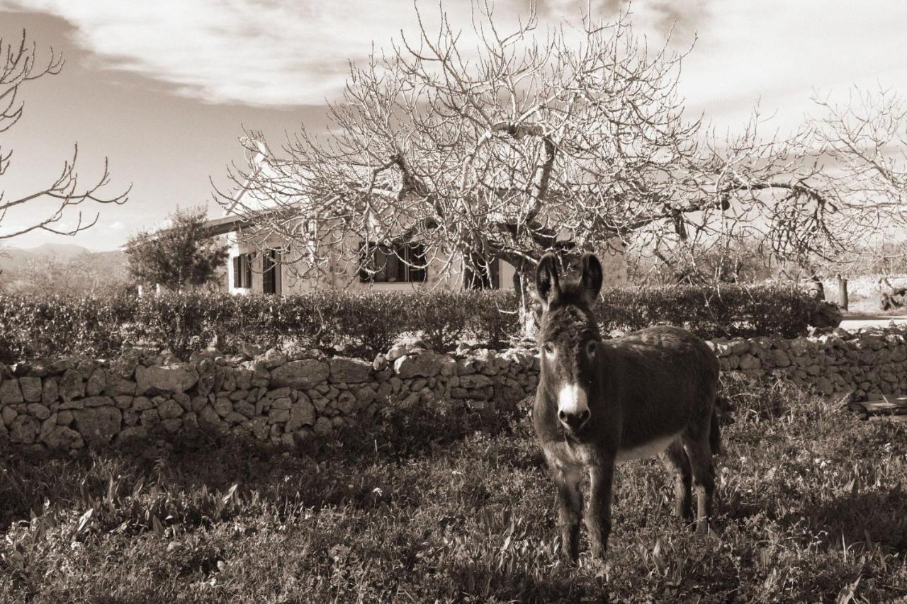 155 Finca Son Rossignol By Mallorca Charme Sineu  Exterior photo