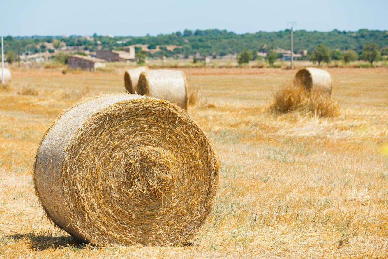 155 Finca Son Rossignol By Mallorca Charme Sineu  Exterior photo