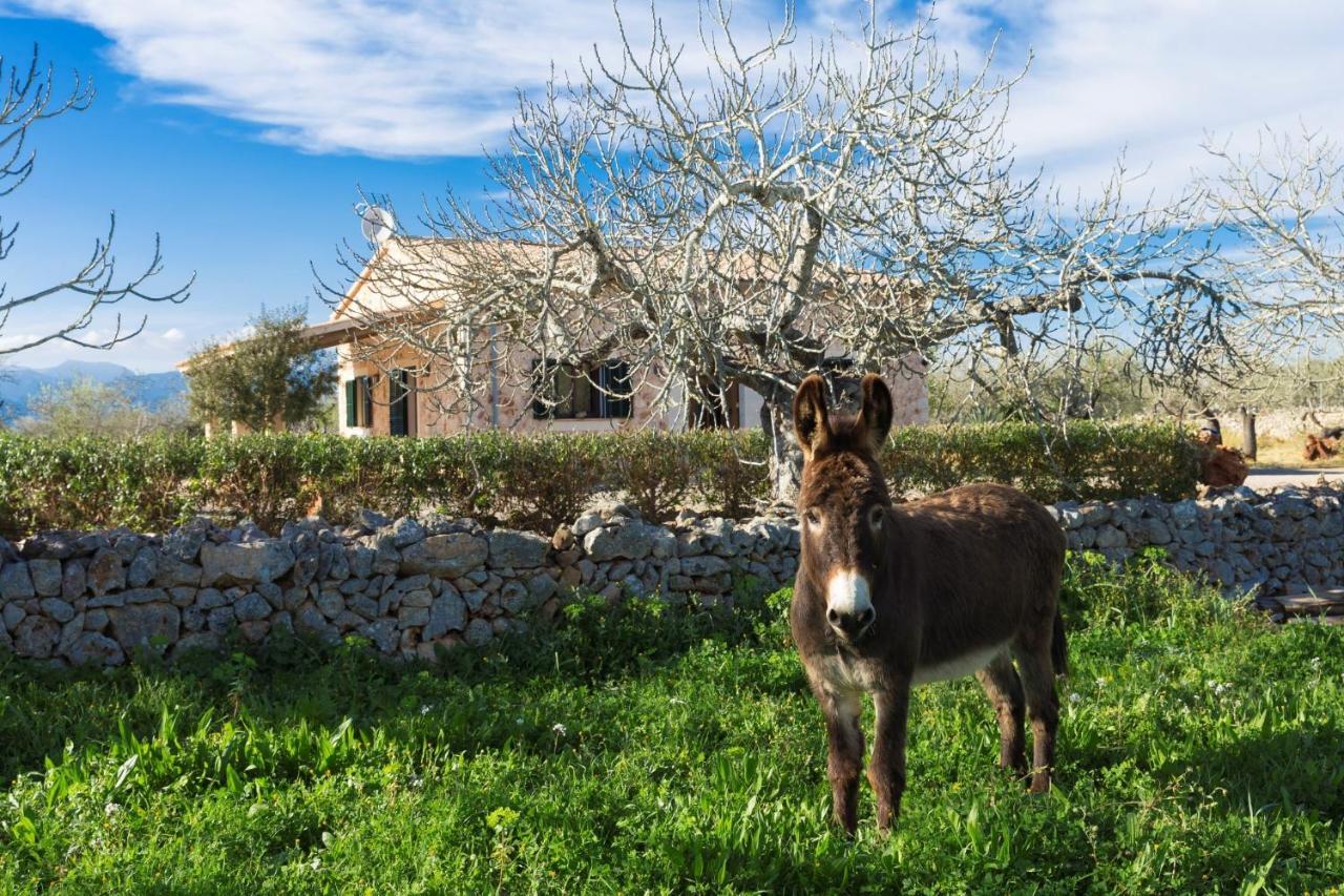 155 Finca Son Rossignol By Mallorca Charme Sineu  Exterior photo